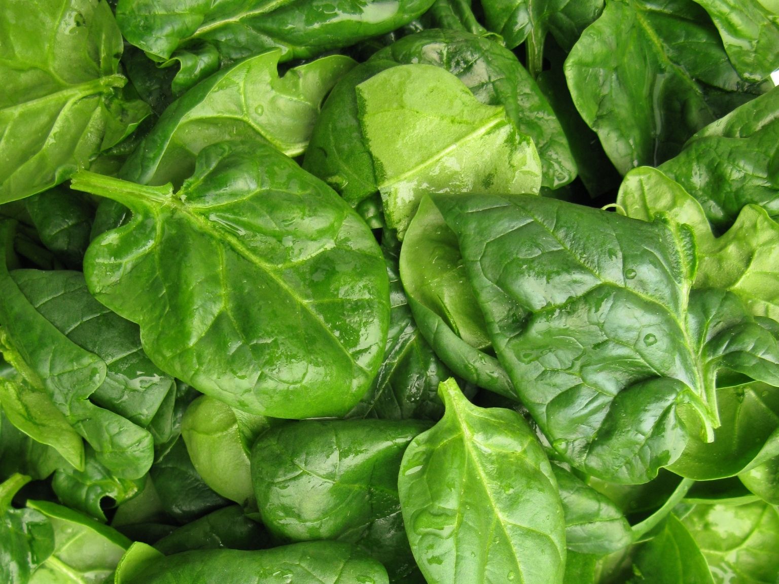 vertical farming